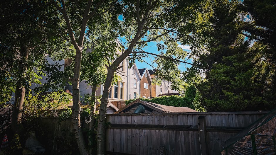 The image shows a residential area with multiple multi-storey houses in the background, constructed from brick and light-colored materials, featuring pitched roofs and large windows. In the foreground, there is a garden scene with several large trees displaying green foliage, including visible trunks and branches extending across the image. Behind the trees, a weathered wooden fence with horizontal planks runs along the lower part of the scene, partially obscuring the view of the houses. The fence appears aged, with some uneven weathering and slight leaning. There is a small, shed-like structure with a sloped roof covered in dark, possibly asphalt shingles, situated within the garden area behind the fence. The scene is bathed in natural daylight, with a clear blue sky visible through the tree canopy, creating a bright and clean atmosphere suited to an outdoor waste management context. This setting aligns with the kind of environments where professional rubbish removal services, such as those offered by Rubbish Clearance Finchley, may operate for garden waste or other private collection needs, particularly in secluded or suburban residential areas.